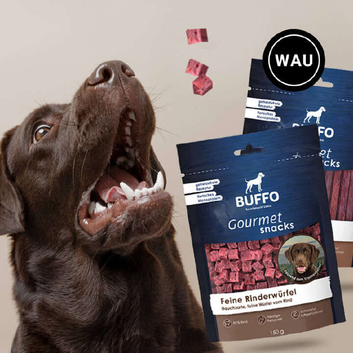 hund schnapp nach buffo hundesnacks 800x800